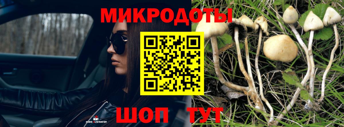 Петрозаводск  Галлюциногенные грибы GOLDEN TEACHER  Вход с VPN  Псилоцибиновые грибы GOLDEN TEACHER 