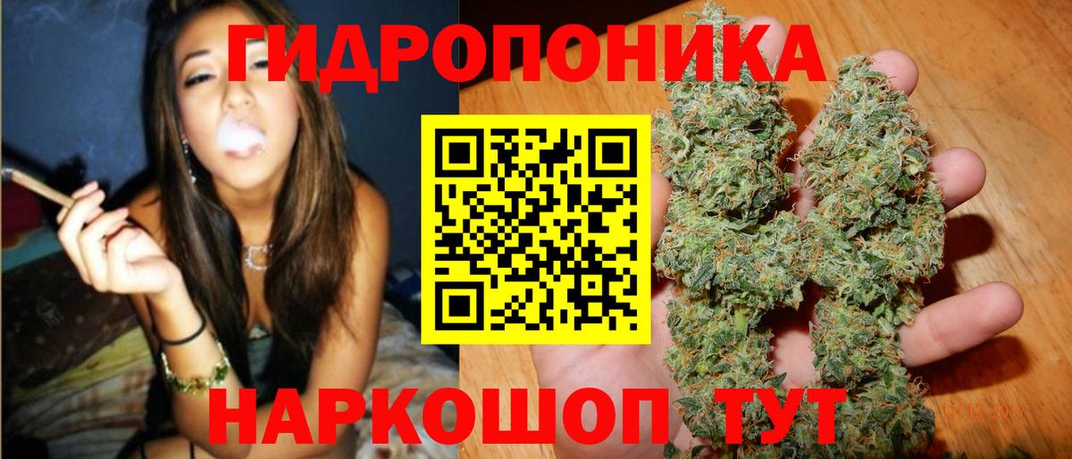 Бошки марихуана Bruce Banner  Вход с VPN  Шишки марихуана THC 21%  Канабис марихуана  Петрозаводск 